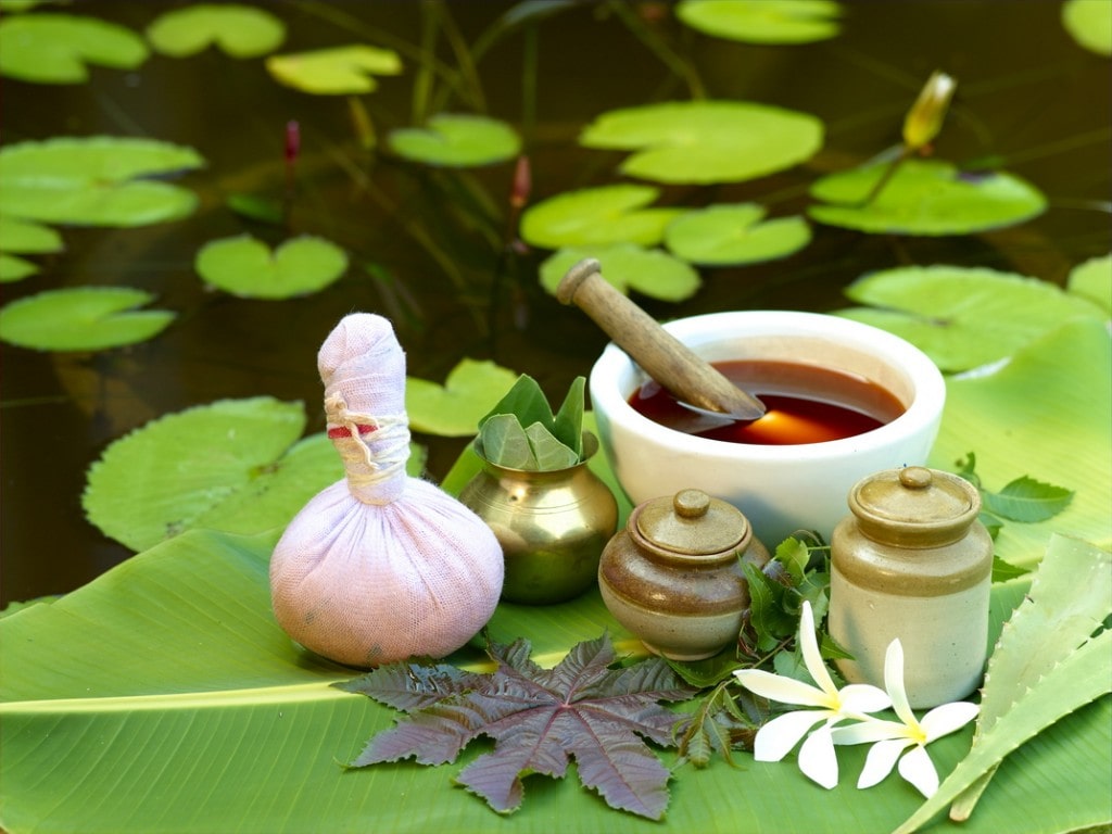 برترین گیاهان دارویی