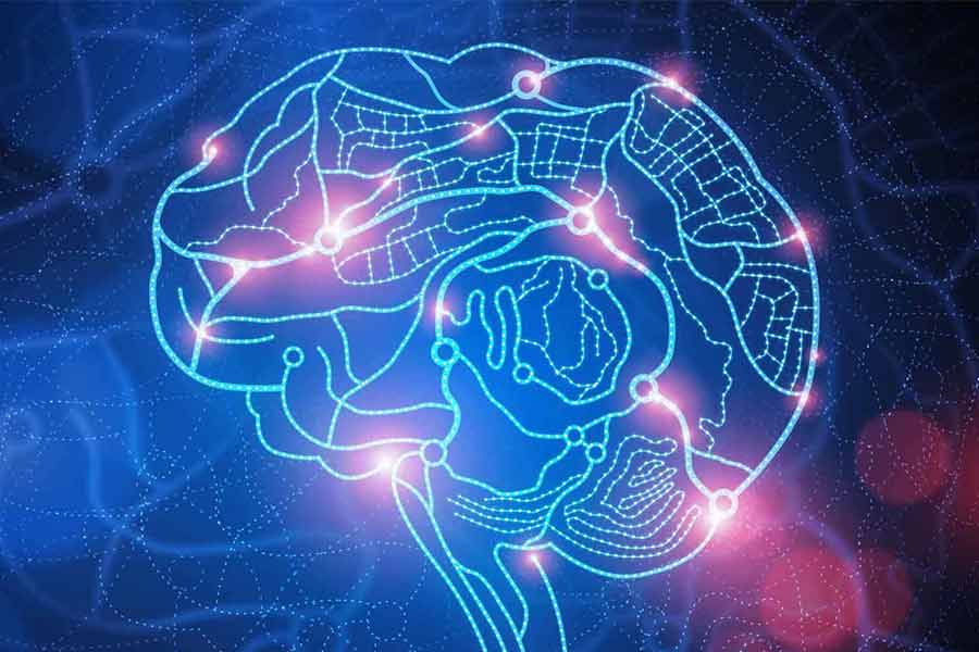 خوراکی‌هایی مقوی برای تقویت مغز