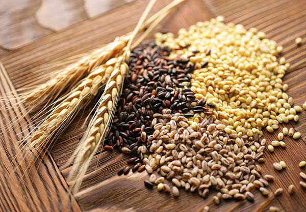 رازهای افزایش طول عمر