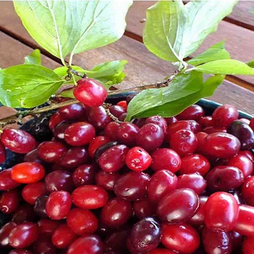 راهکارهایی کم هزینه برای داشتن پوستی زیبا